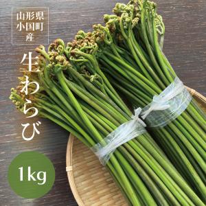 わらび 1kg 山形県小国町産 天然山菜 生ワラビ あく抜き用重曹付き