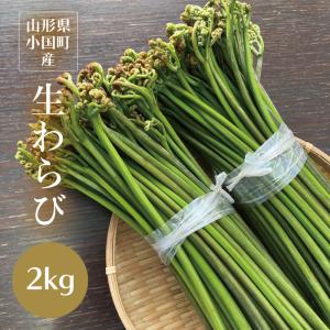 わらび 2kg 山形県小国町産 天然山菜 生ワラビ あく抜き用重曹付き