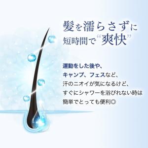 ノネナール 頭皮臭 消臭 スプレー ミスト ニ...の詳細画像3