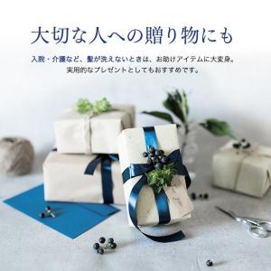 ノネナール 頭皮臭 消臭 スプレー ミスト ニ...の詳細画像4