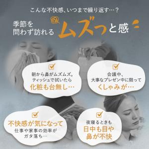 花粉 ほこり ハウスダストによるムズムズを軽減...の詳細画像2