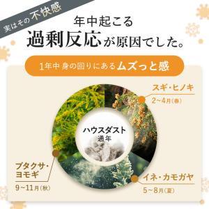 花粉 ほこり ハウスダストによるムズムズを軽減...の詳細画像3