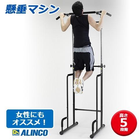 ALINCO/アルインコ 懸垂マシン ぶら下がり健康器 EX900T