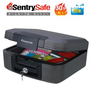 Sentry セントリー ポータブル耐火・防水保...の商品画像