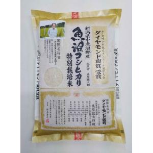 令和5年産 新潟県産 特別栽培米（減化学肥料・減農薬） 魚沼コシヒカリ 2kg 桑原健太郎さん作