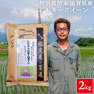 令和5年産 滋賀県産 特別栽培米（減化学肥料・減農薬） ミルキークイーン 2kg 吉田和博さん作｜heartmark-shop