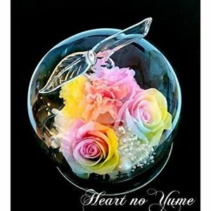 楽天 Amazon Yahooランキング1位☆✿ ♬ レインボーローズプチドーム プリザーブドフラワー レインボー ガラスドーム 母の日 花 ギフト