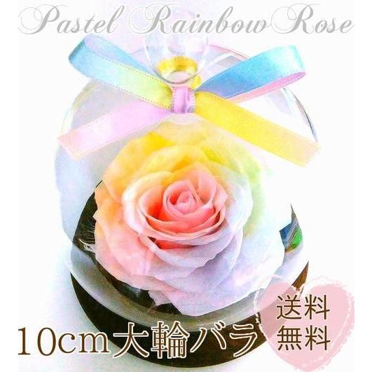 【楽天ランキング1位】ケース入り大輪バラ　パステルレインボーローズ ガラスドーム木製ギフト 送料無料...