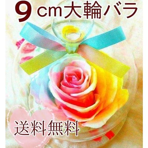 【楽天ランキング1位】大輪バラ　パステルレインボーローズ ガラスドーム 送料無料 誕生日 母の日 結...