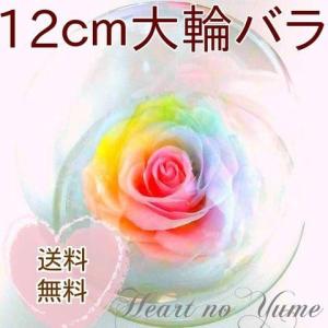 ハートのユメフラワーYahoo!店 - Yahoo!ショッピング