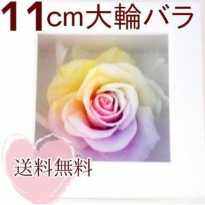 ハートのユメフラワーYahoo!店 - Yahoo!ショッピング