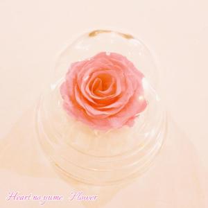 フラワーマーケット花由 【楽天ランキング 1位】 高級プリザーブド