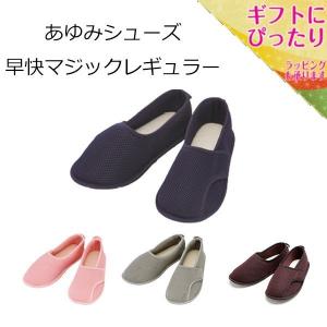 徳武産業　早快マジック　レギュラー　3E 2502 介護靴