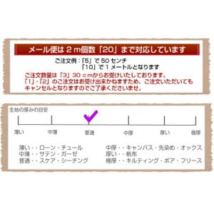 Color Cocktails-Stripe ...の詳細画像4
