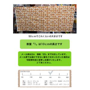 オックス ベーグルだワン わんこ 犬 布 生地...の詳細画像4