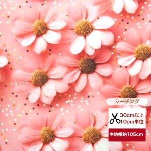 「シーチング」色あせぬ恋 コットン100% 生地...の商品画像