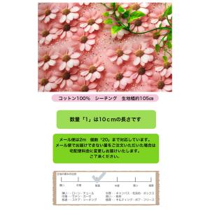 「シーチング」色あせぬ恋 コットン100% 生...の詳細画像3