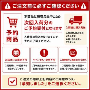 【10月入荷予定】ドラゴンボールZ チャオズ ...の詳細画像2