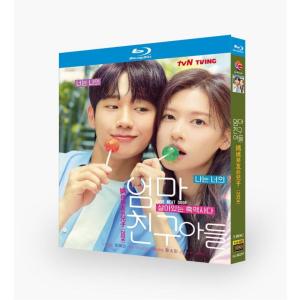 韓国ドラマ「となりのMr.パーフェクト」国内再生可能 日本語字幕 DVD Blu-ray BOX 全話収録