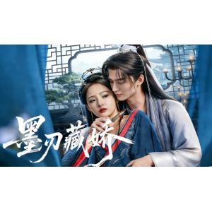 日本語字幕 中国ドラマ 華ドラ「墨色の刃と囚われの姫」ブルーレイBlu-ray BOX 全話収録