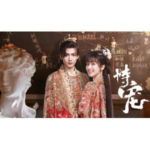 日本語字幕 中国ドラマ 華ドラ「彼が一番選んだ人」ブルーレイBlu-ray BOX 全話収録