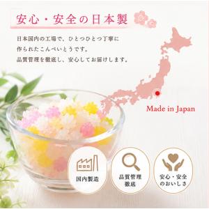 【人気】星に願いをこんぺいとう|日本製 プチギ...の詳細画像5