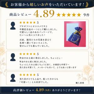 【人気】星に願いをこんぺいとう|日本製 プチギ...の詳細画像1
