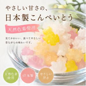 【人気】星に願いをこんぺいとう|日本製 プチギ...の詳細画像4