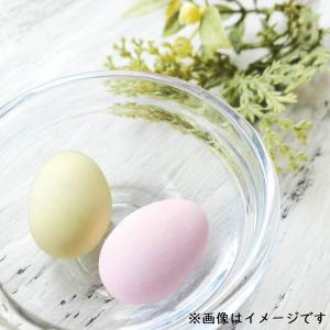 華らんまん1個|ドラジェ プチギフト 異動 退...の詳細画像1