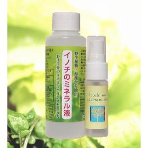 野生植物・海藻ミネラル イノチのミネラル液 2個...の商品画像