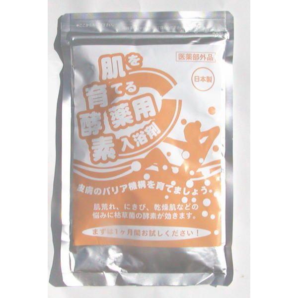 【12%OFF】薬用入浴剤　肌を育てる薬用酵素入浴剤　2個セット　医薬部外品