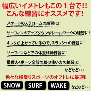 ロングスケートボード 39.5インチ 高品質 ...の詳細画像3