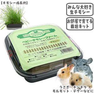 極（PRO SELECT） ちんちらのきわみ/極 フード エサ ペレット グルテン
