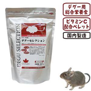 コンプリート チンチラ&デグー 500g/デグーフード チンチラフード エサ 