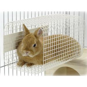 レインボー デグモのアパート ハンモック ハウス デグー モモンガ