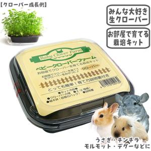 極（PRO SELECT） チモシーのきわみ/極み 牧草 ペレット PROSELECT