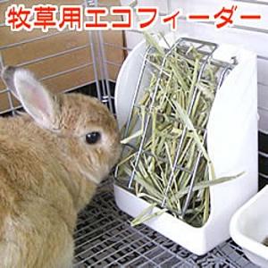 イージーホーム 【スロープ付】イージーホームEVO 80【一度のご注文で1