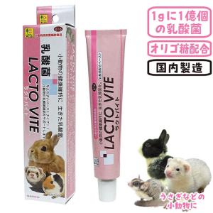 三晃商会 フェレットヘアボールリリーフ/サプリメント 毛球 チューブ