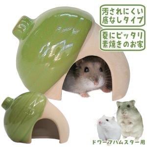 カワイ コンフォートチンチラスペシャル STグレード【一度のご注文で1