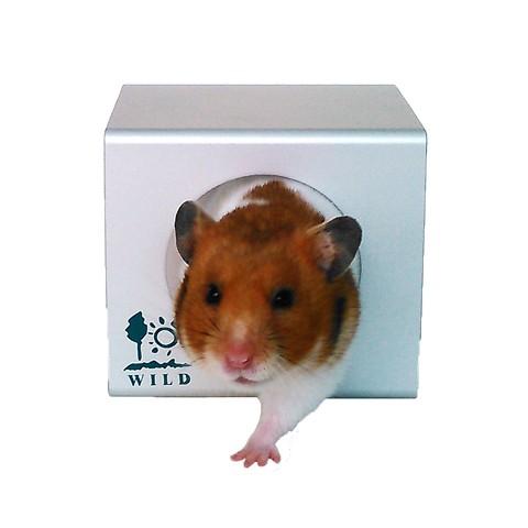 ひんやり涼感キューブ　Ｍ/夏 ひんやり クール ハウス アルミ CUBE 寝床 ウエーブハウス ハム...