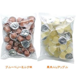 ジクラアギト　万能ミルクフード01 100g フルーツミックス味　４個 ジクラ アギト Zicra Agito 万能モモンガミルク BABY&YOUNG フルーツ