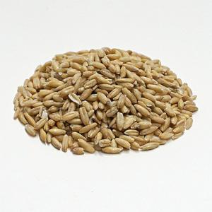 むき燕麦(えんばく) 700g/オート麦 オー...の詳細画像2