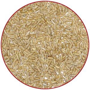 むき燕麦(えんばく) 700g/オート麦 オー...の詳細画像3