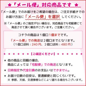 レインボー すいすいスイカブランコ/フェレット...の詳細画像1