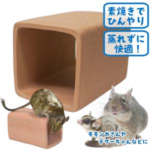 GEX（ジェックス） アクリルルームIII 390High/ケージ ゲージ 飼育