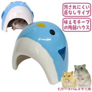 ジャンガリアンハムスター飼育セット ゆったり/飼育ケース 飼育ケージ