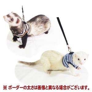 レインボー ferret ランランハーネス ボーダー/フェレット