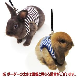 レインボー rabbit ランランハーネス ボーダー/うさぎ