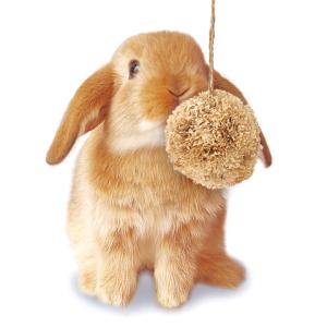 ポンポンフラワー/おもちゃ 齧り木 とうもろこ...の詳細画像2