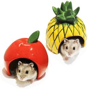 600ハムスターHIGH ゴールデンハムスター飼育セットII【A：給水ボトル